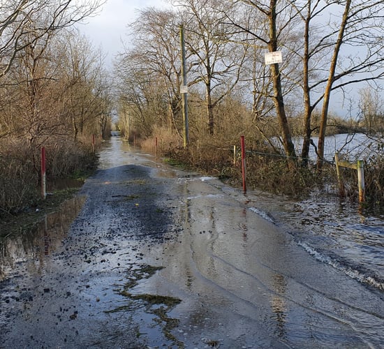 'Seven farm families will have to leave flooded Roscommon land' - Murphy