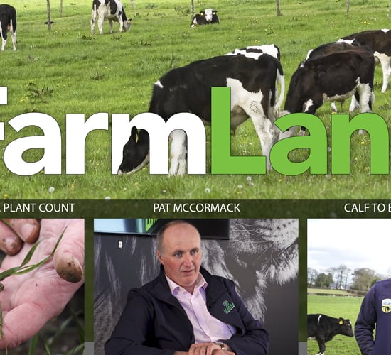 This week's FarmLand: Flooding, farm walks and how to carry out a plant count