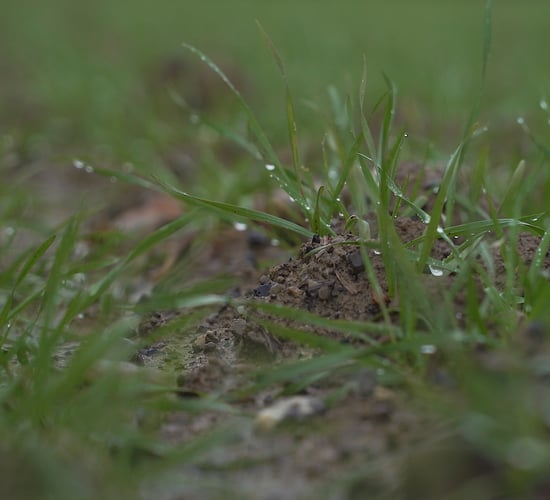 Hyper-local weather data latest addition to UCD project