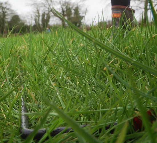 Grass budgeting: Points to consider after a good back end &amp; spring