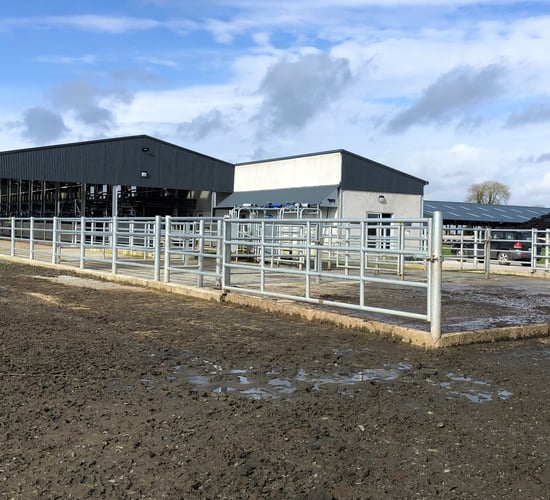 Dairy focus: 'Maximising comfort and minimising stress' with new facilities in Gurteen