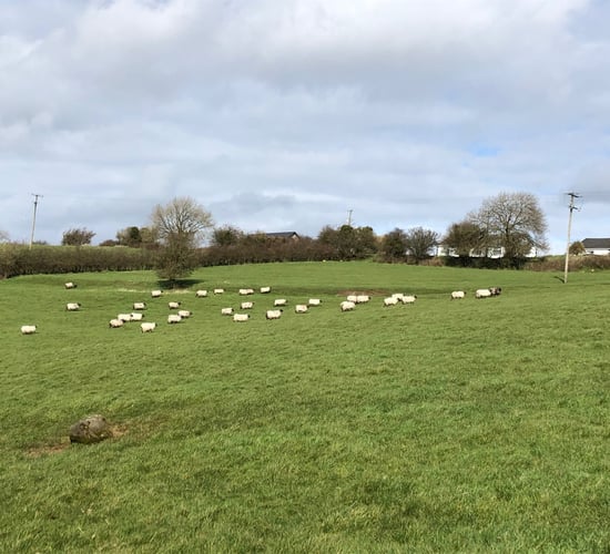 Latest coronavirus updates for farmers…as they happen [April week 5]