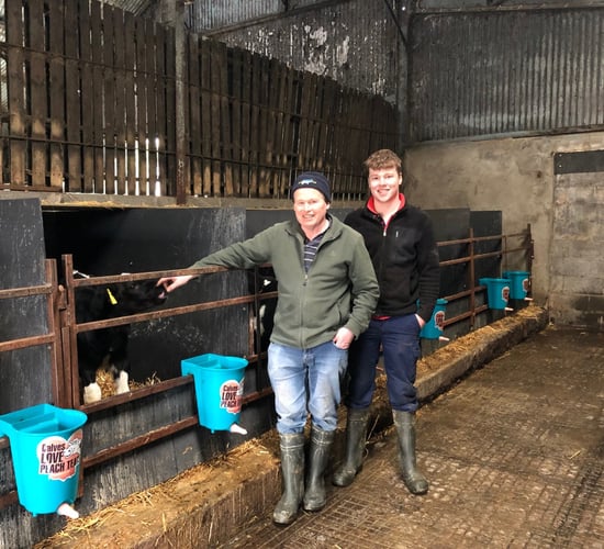 Are you tight for calf housing? Check out how this farmer overcame this problem