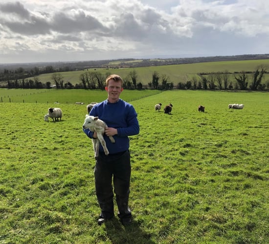 Sheep focus: 'It was a safer option - financially - investing in ewes rather than cattle'