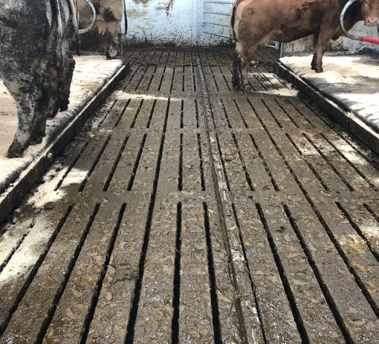 HSA issues safety alert following fatal accident on a farm involving slats