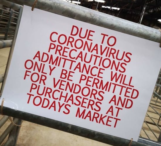 NI marts establishing protocols to facilitate reopening
