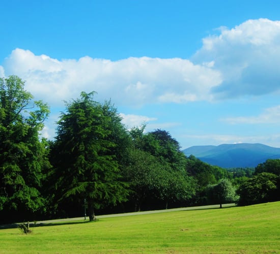 100ac estate with farmland 'suitable for both tillage and livestock' ready for the off