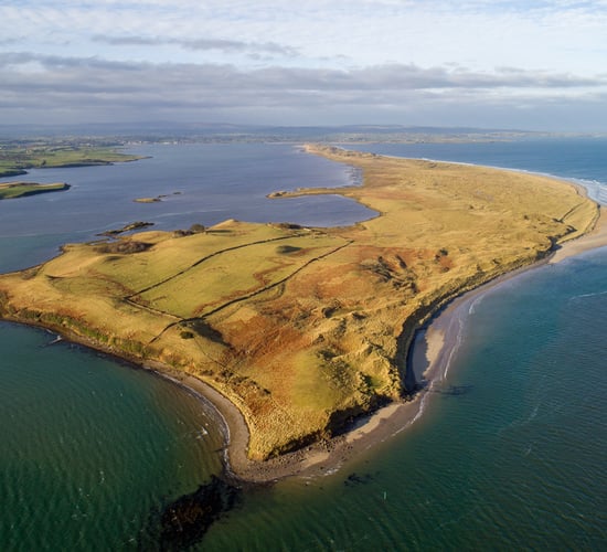 Video: 420ac private island with mixed-quality land guiding at €2,619/ac