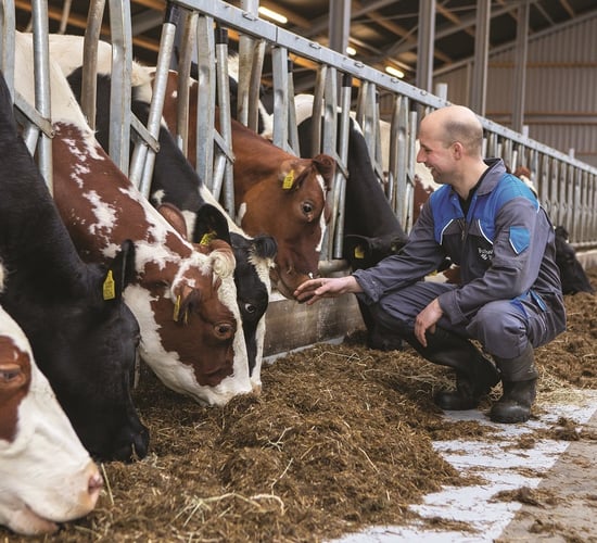 Parlours that work for your farm, whatever your size or ambitions
