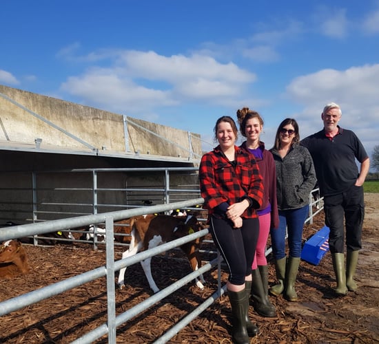 Converting a silage slab into calf housing facilities in Co. Meath