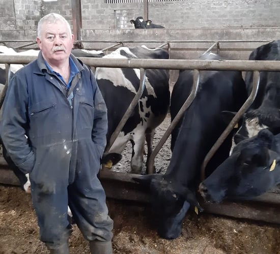 Milk butterfat increases after high-yielding dairy herd’s rumen health improved