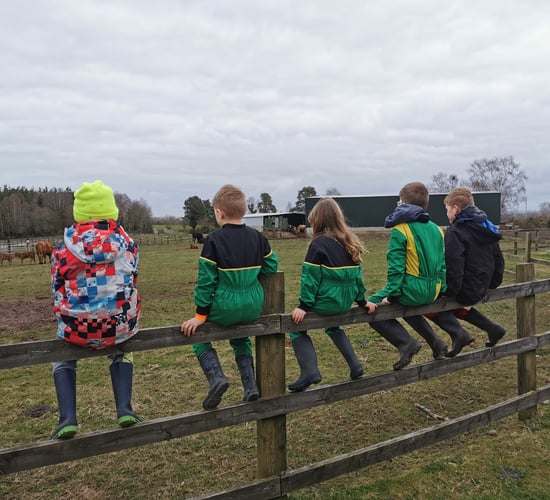 Home educating on the farm: Family share lessons learned