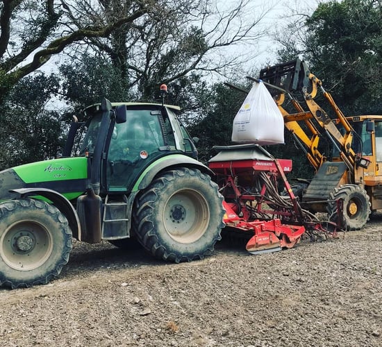 Tillage: The importance of crop establishment