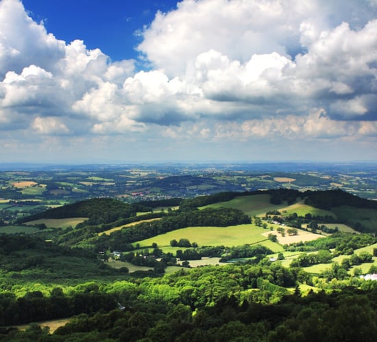 How does the agricultural land rental market compare in the UK?