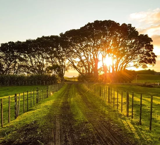 Want to have your say on future NI agricultural policy? Now's your chance