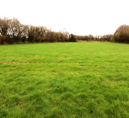 Non-residential farm on 70ac to go under the hammer in 'The Marble County'