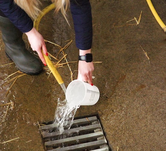 Video: How to clean feeding equipment thoroughly to avoid the build up of bacteria