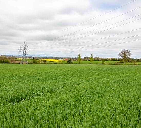 Budget 2023: Missed opportunity to 'drive on' tillage - IGGG