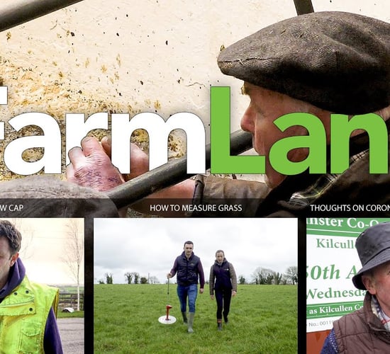 FarmLand 12th March 2020