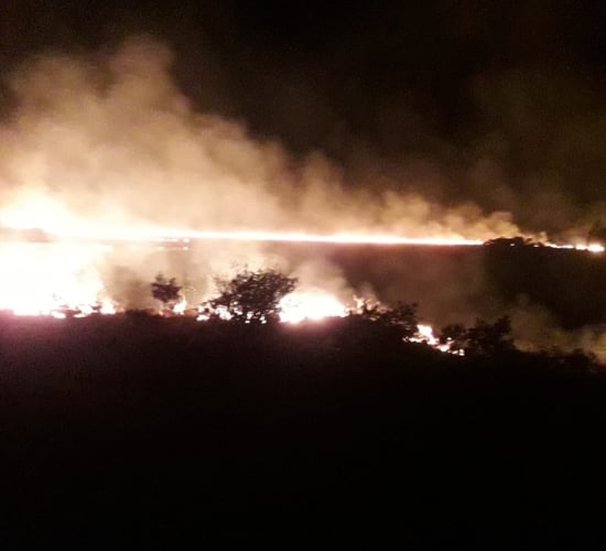 150ac of land damaged following gorse fire in Kerry