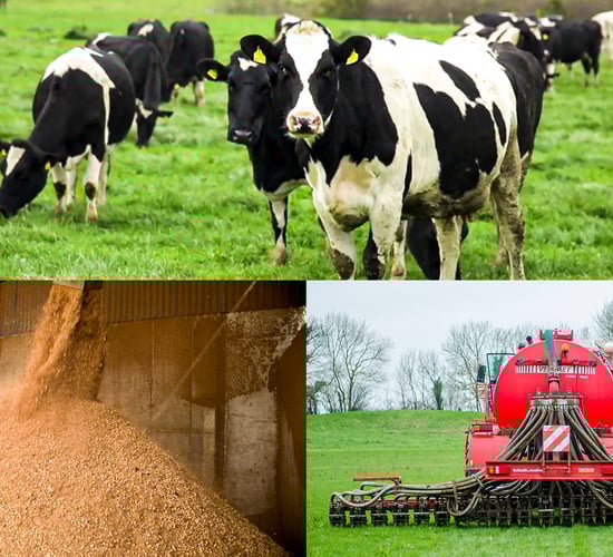 How to read your Farmer Feedback Report and what is it telling you?