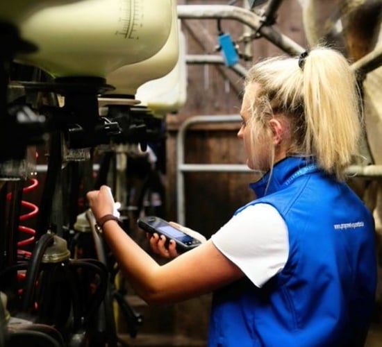 Farmer views sought on milk pregnancy testing