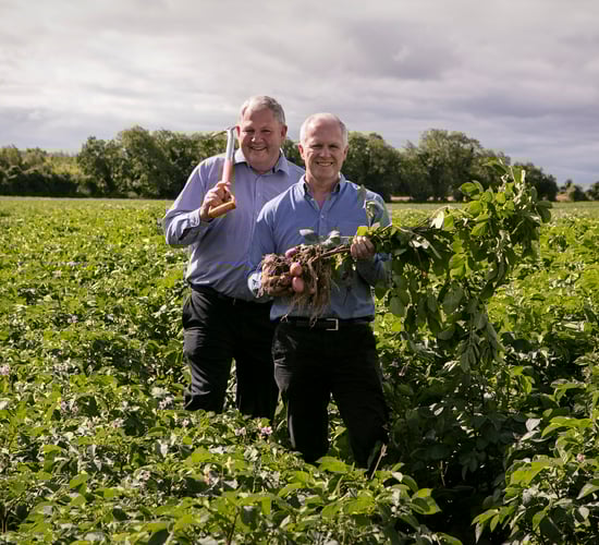 Country Crest and Tesco confirm €62.5 million vegetable contract