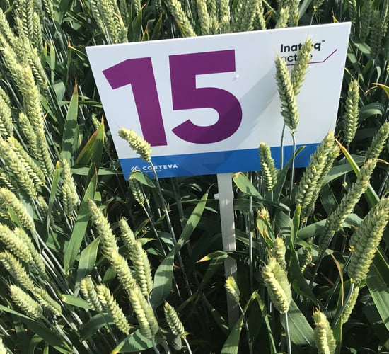 New fungicide registered and will be ready for use in 2021