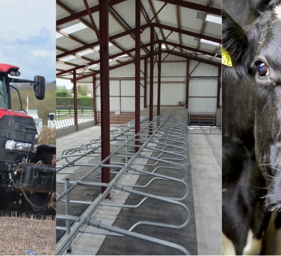 Opinion: Now we see how much farming does matter, but what happens after?
