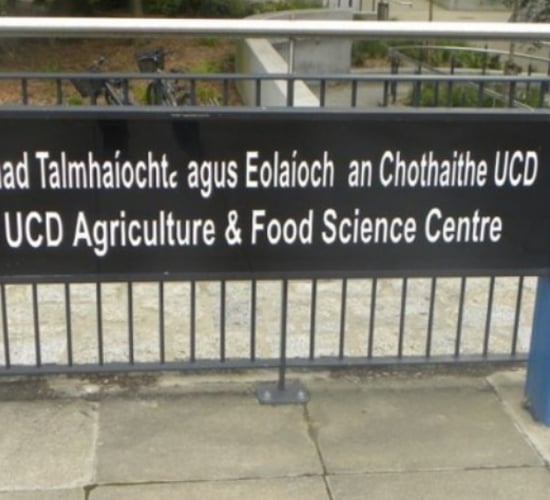 UCD School of Agriculture set to host information event on masters' programmes - online