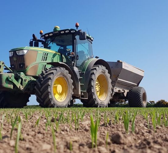 Tillage management: Early nitrogen for malting barley essential