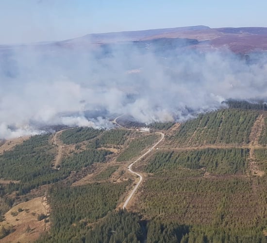 Coillte stresses forest fire risk after Leitrim blaze