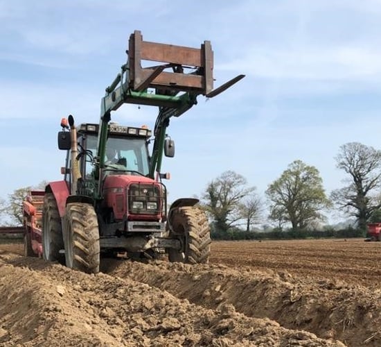 Retail trade strong, but processing stands still as potatoes are planted