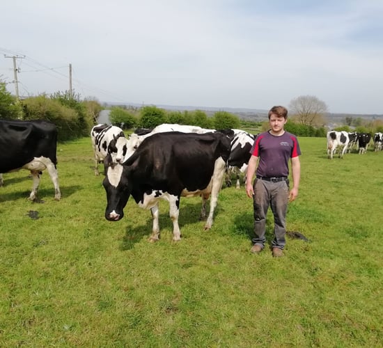 'For us, the breeding period starts at drying off' - dairy farmer Donal Carroll