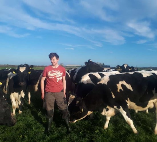 Dairy focus: Taking the reins of an 80-cow herd and driving it on in Co. Limerick