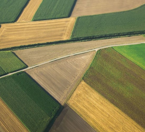 Germany grants access to seasonal workers amid farm labour shortage
