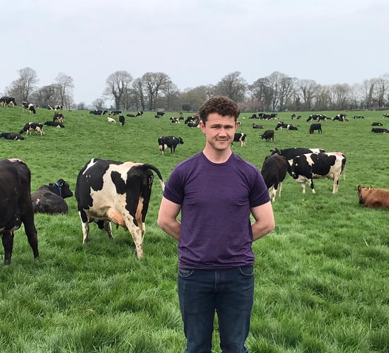 Producing high-grass yields while protecting the environment