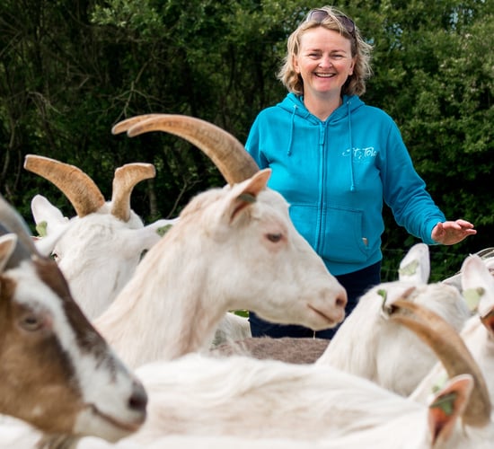 Burren producers' initiative doesn't put eggs all in one basket