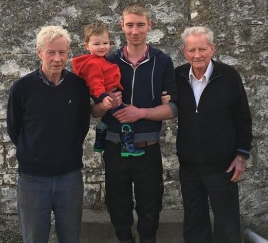 Feed additive improving early lactation performance of pedigree dairy herd