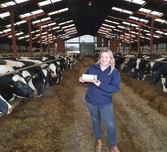 Cheshire dairy producer's calving season tightens with novel feed additive