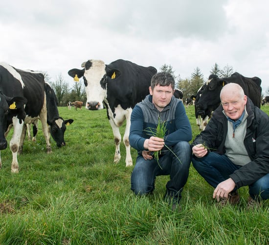 Protecting precious silage with a more robust approach