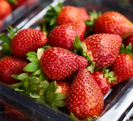 Campaign against Spanish strawberry growers signed by thousands