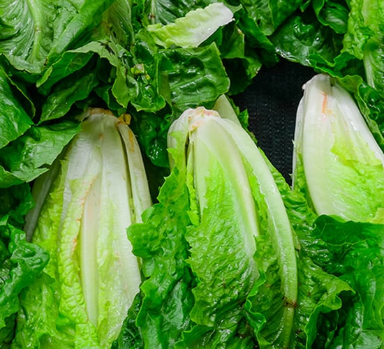 Millions of dollars' worth of crops being destroyed in California