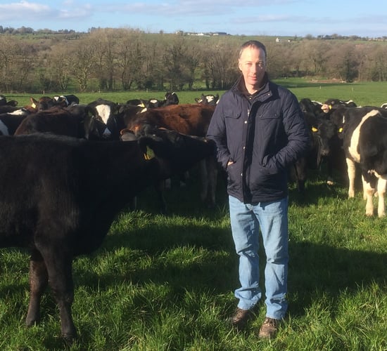 How this Co. Cork dairy farmer serves heifers the easy way