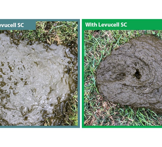 Don't dismiss loose cows at grass as being inevitable