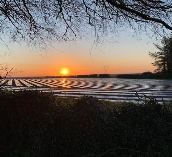 The sun sets on Arable April...is the tillage future bright?
