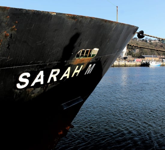 Bulls to depart Waterford for Libya tonight