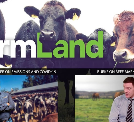 FARMLAND: 9th April 2020