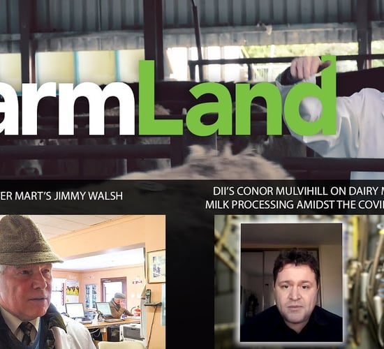 FarmLand 16th April 2020
