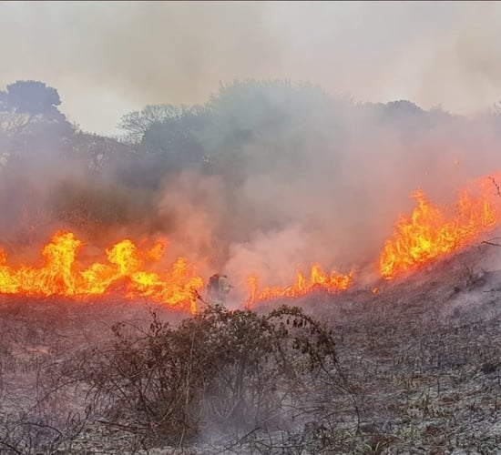 Fire risk notice issued due to dry conditions